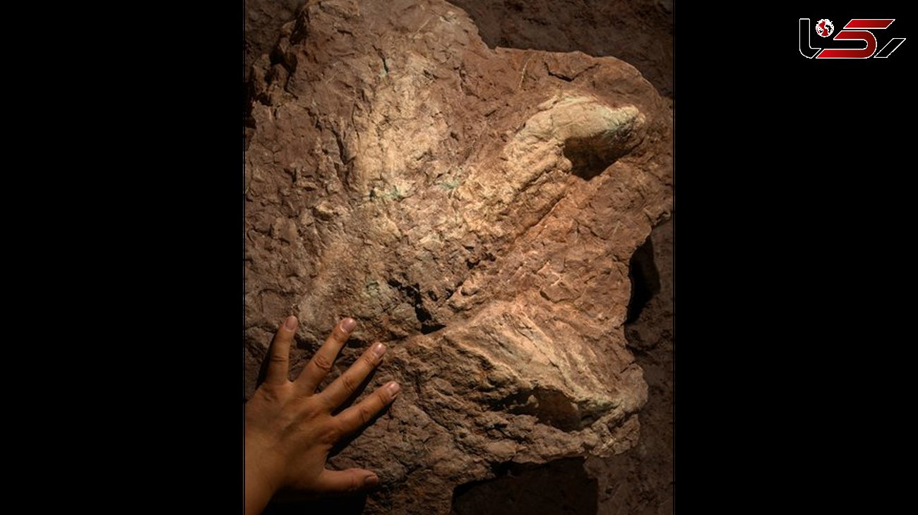 کشف نخستین ردپای دایناسورها در آسیا + عکس