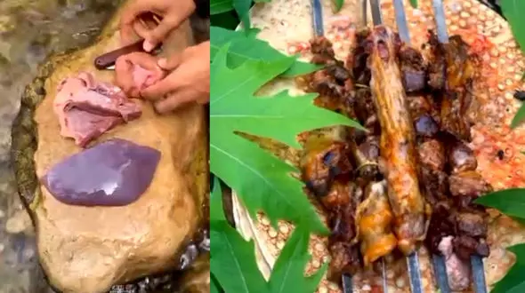 ببینید / از آشپزی در طبیعت لذت ببریم + فیلم 