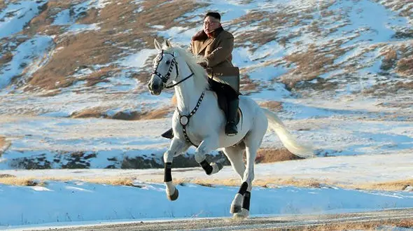 کره شمالی بدون «کیم»