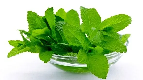 ترفندهایی برای از بین بردن پف زیر چشم/با راهکارهای خانگی زیباتر شوید