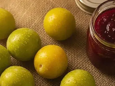 طرز تهیه خانگی رب آلوچه 