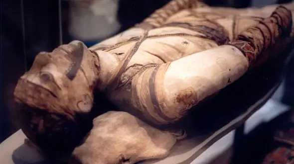 ۱۰ حقیقت عجیب درباره مومیایی‌ها که از شنیدن آن حیرت خواهید کرد!
