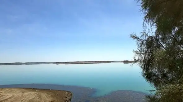 حال هامون خوب است و خشک نیست /  رطوبت هامون تا سال آبی آینده محفوظ می ماند