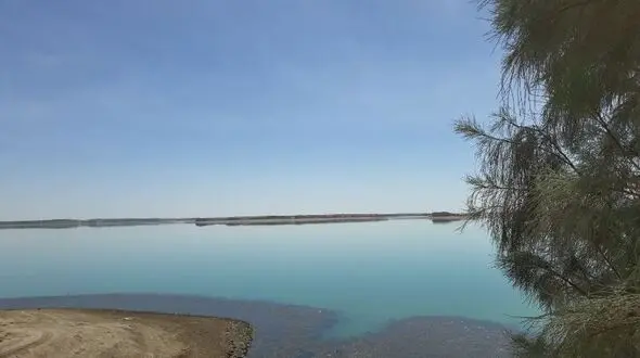 حال هامون خوب است و خشک نیست /  رطوبت هامون تا سال آبی آینده محفوظ می ماند