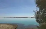 حال هامون خوب است و خشک نیست /  رطوبت هامون تا سال آبی آینده محفوظ می ماند