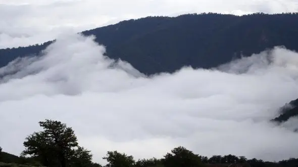 مستند دیدنی و زیبای جنگل در تصرف ابرها دیشب روی آنتن رفت +فیلم