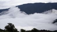 مستند دیدنی و زیبای جنگل در تصرف ابرها دیشب روی آنتن رفت +فیلم