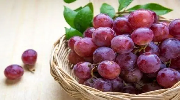  کاهش کلسترول خون با انگور
