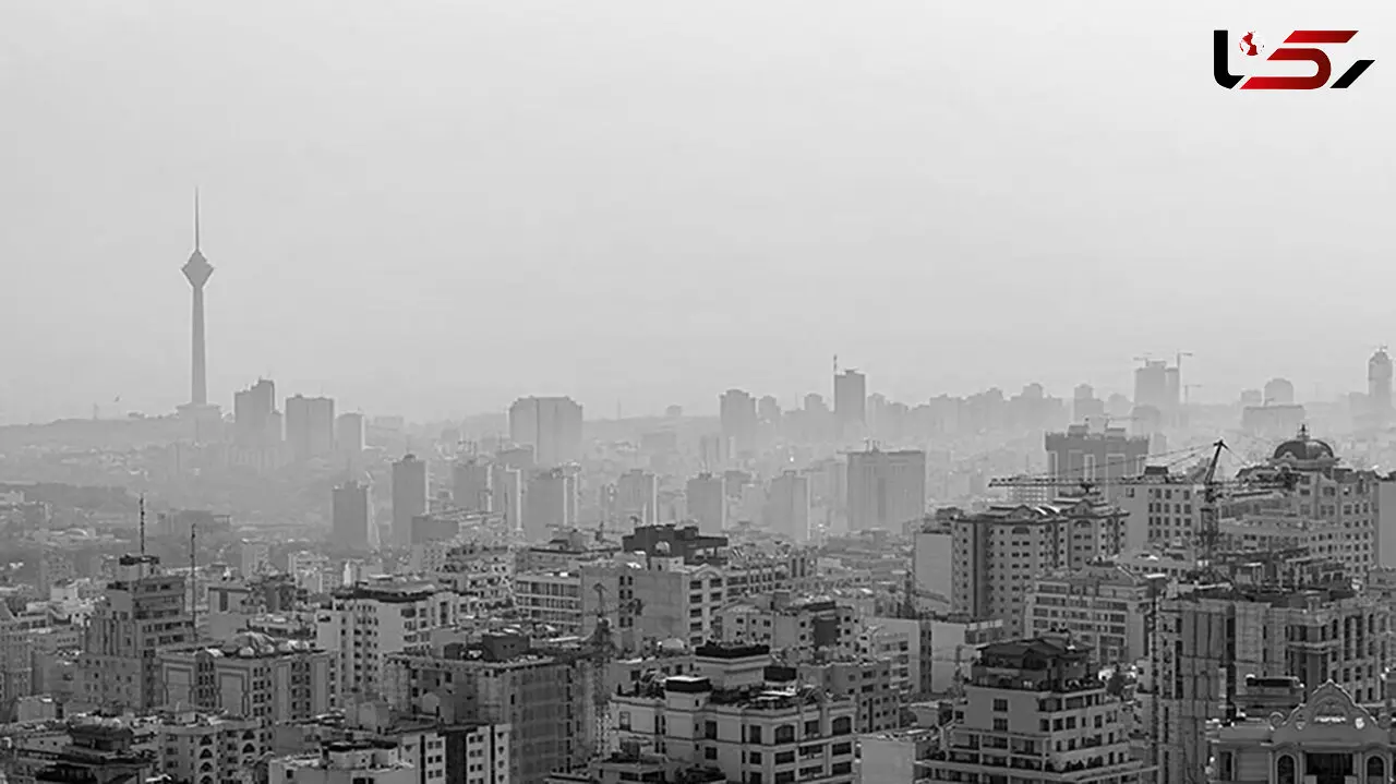  استفاده از قراردادهای استاندارد برای معاملات ملکی ضروری است