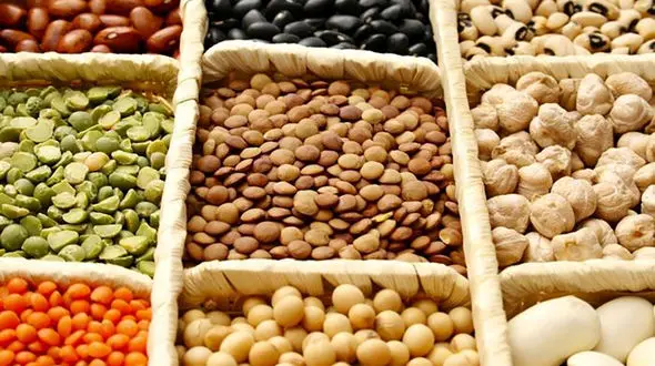 کوتاهی مسئولان وزارت اقتصاد در اجرای ابلاغ معاون رئیس جمهور مبنی بر کاهش مالیات حبوبات