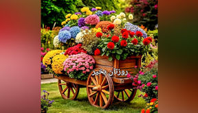 فال و طالع بینی روزانه 11 تیر 