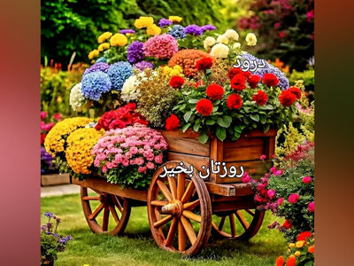 فال و طالع بینی روزانه 11 تیر 