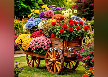 فال ابجد اول خرداد + فیلم