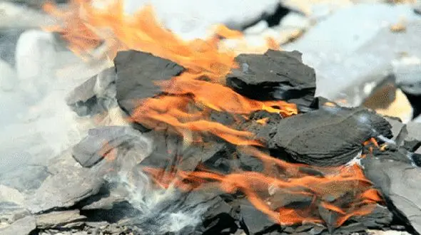  کشف نفت شیل در ۱۰ نقطه ایران/ برداشت نفت ارزان‌تر از آمریکا