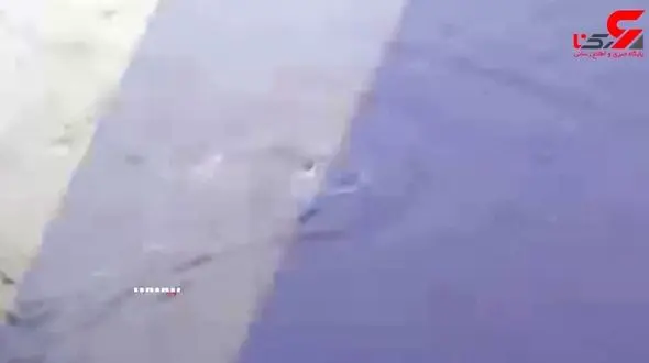 پسر هدیه بی ام و پدرش را در رودخانه غرق کرد / او جگوار می خواست + فیلم 