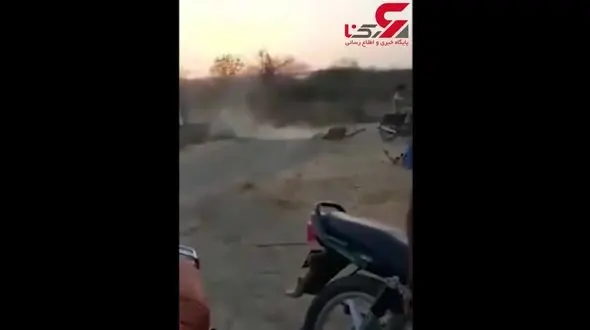 اقدام احمقانه موتورسوار در محدوده شیرهای حفاظت شده! + فیلم