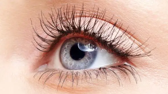 راهکارهای پرپشت شدن مژه ها