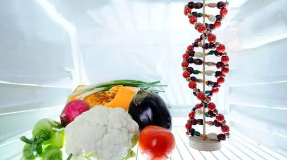 3 نسخه برای لاغر شدن با سر مشق DAN