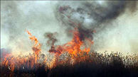 آتش سوزی 20 تن کاه گندم عدل شده در گنبدکاووس 