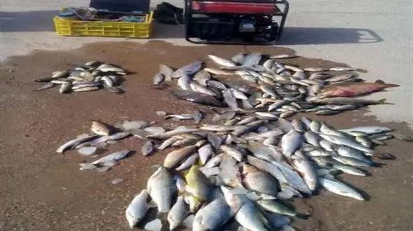 دستگیری صیادان بی رحم در خوزستان!/این روش انسانی نیست!