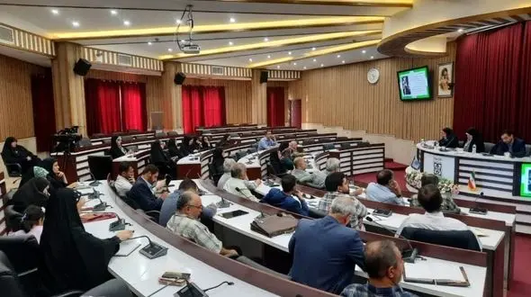 مافیای خودرو با قدرت در بازار جولان می دهد