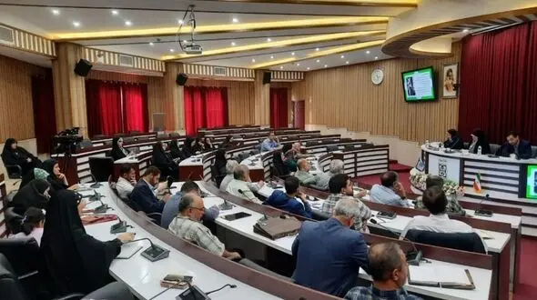 مافیای خودرو با قدرت در بازار جولان می دهد