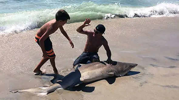 صیاد 13 ساله کوسه شکار کرد+تصاویر