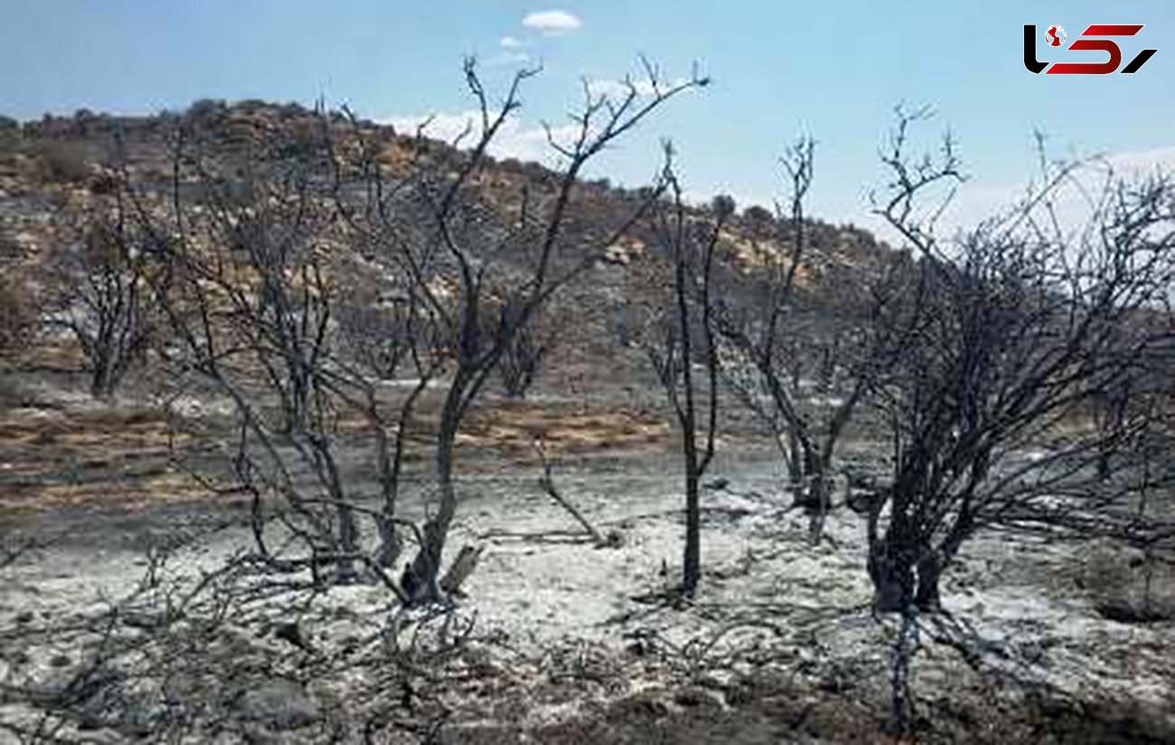 آتش به یکصد هکتار از منابع مرتعی و جنگلی فیروزآباد فارس خسارت زد