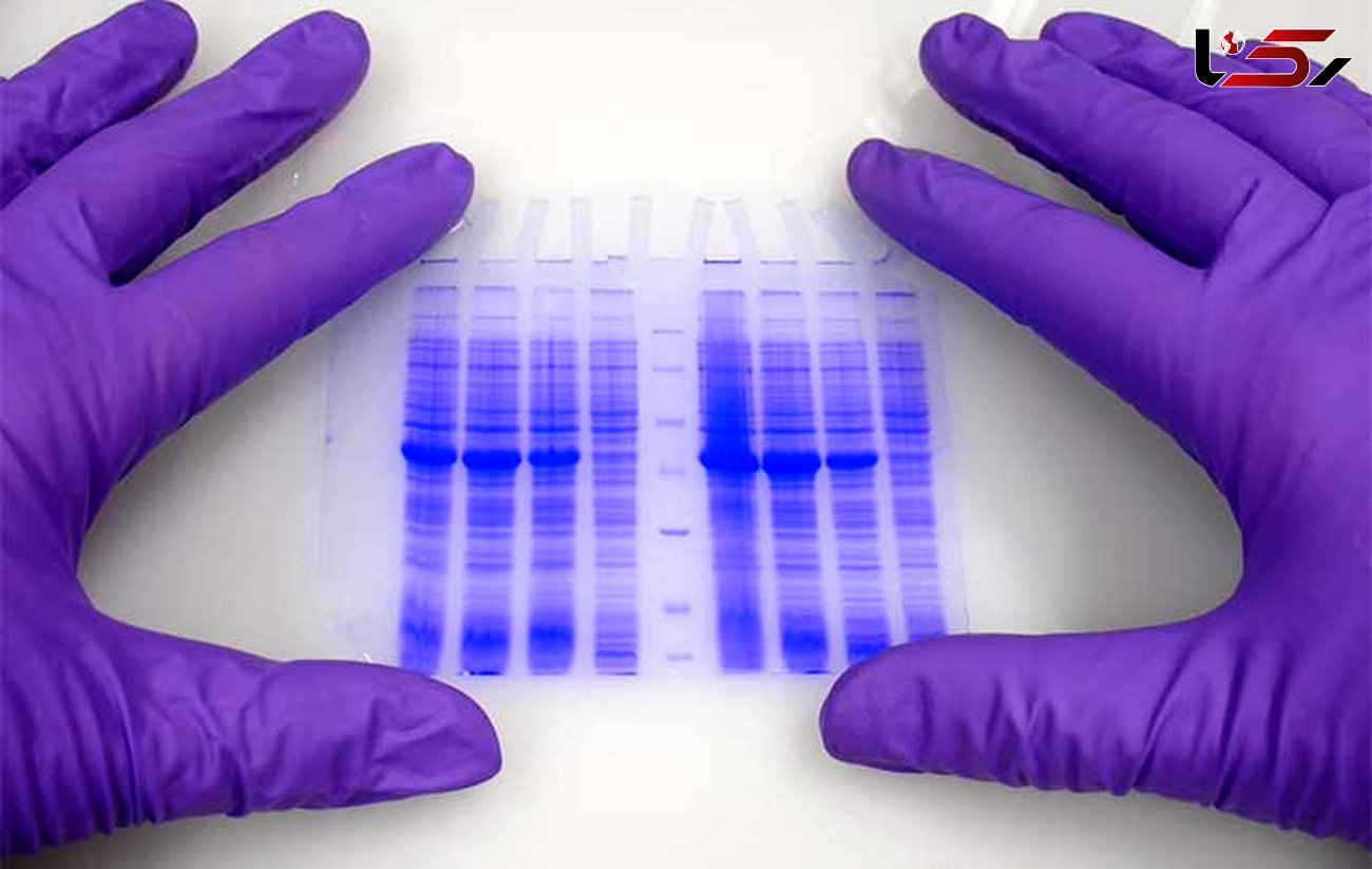 درمان بیماریهای پیچیده با روش جدید ویرایش ژن