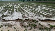آماده‌باش ‌جهاد کشاورزی استان به کشاورزان و عشایر/ سامانه بارشی شدید در راه لرستان