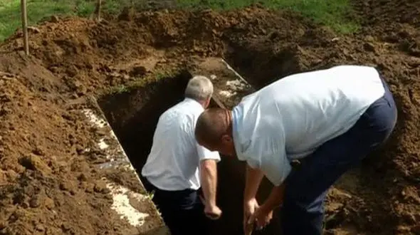 رقابت بی سابقه گورگن ها در سرعت قبر کندن + فیلم و عکس