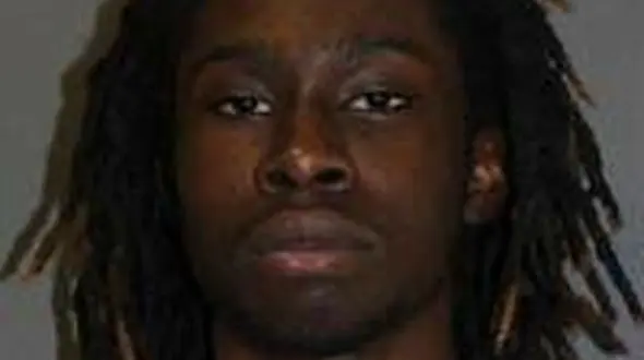 35 سال زندان به جرم کشتن اسب