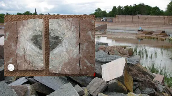 پیدا شدن نخستین سنگ آسمانی که به زمین افتاد + عکس