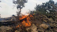 آتش امسال بیش از پنج میلیارد ریال به جنگل ها و مراتع گیلانغرب خسارت زد