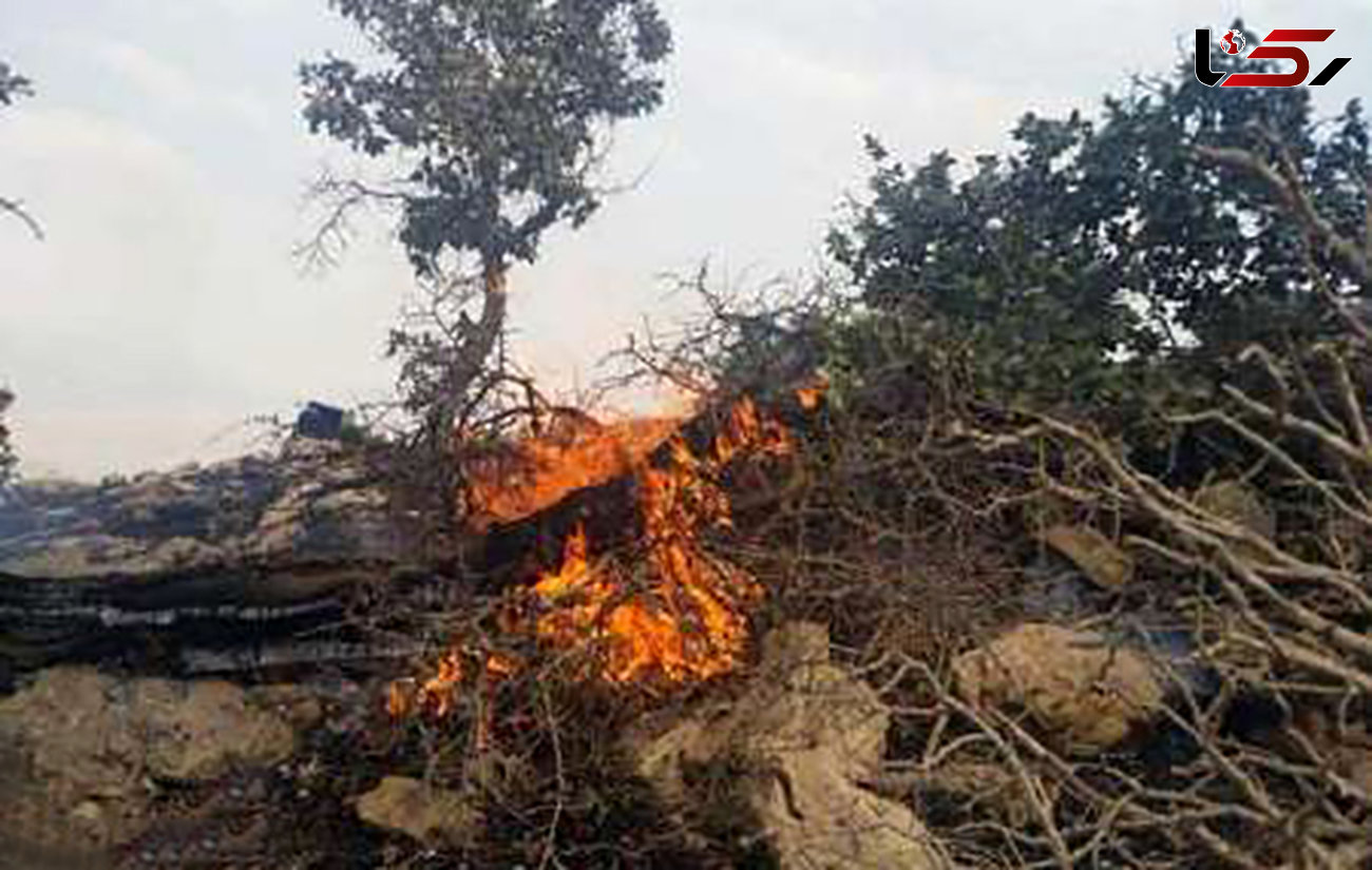 آتش امسال بیش از پنج میلیارد ریال به جنگل ها و مراتع گیلانغرب خسارت زد