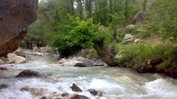 سرنوشت تلخ خواهر و برادر جوان در رودخانه «کندوان»