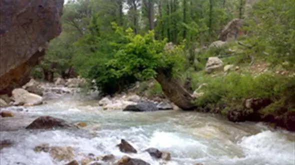 سرنوشت تلخ خواهر و برادر جوان در رودخانه «کندوان»