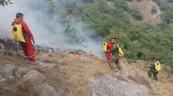 آتش سوزی جنگل ها در گلستان مهار شد
