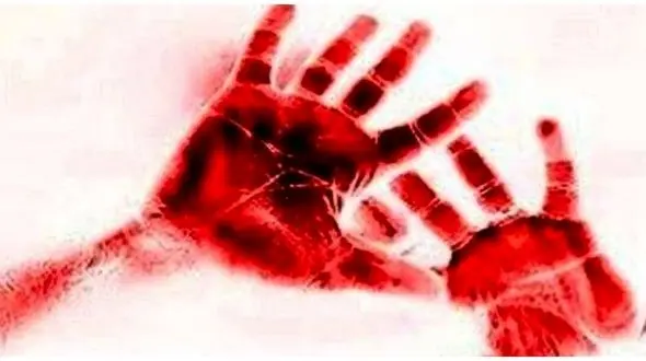 زن عشق مادر شوهرش را کشت / همسرم بچه نمیخواست