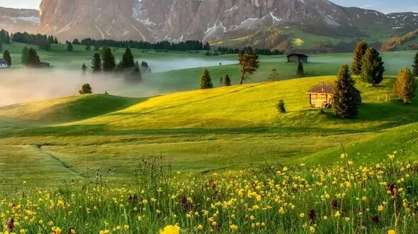 لحظاتی از سکوت و زیبایی طبیعت