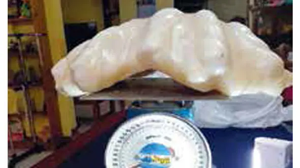 گنج 100 میلیون دلاری ماهیگیر فقیر+عکس