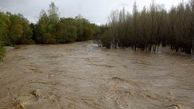 فیلم | آخرین وضعیت رودخانه کرج در پی بارش های اخیر 