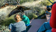 عقاب پسر بچه ای را از زمین بلند کرد+ عکس
