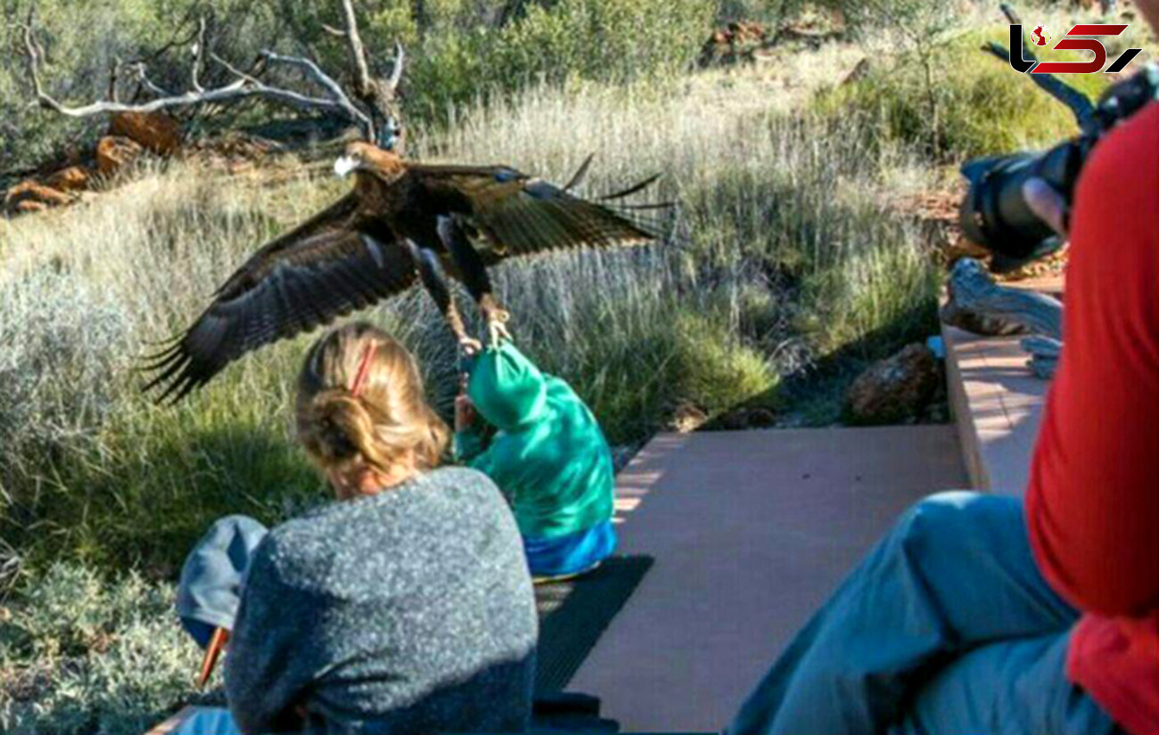 عقاب پسر بچه ای را از زمین بلند کرد+ عکس