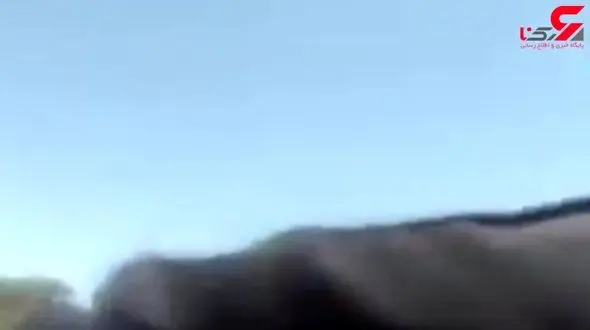 پلیس تبهکار در خودرو افراد بی گناه مواد جاسازی می کرد+ فیلم