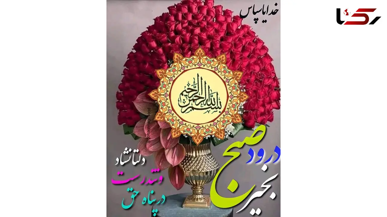 فال روزانه شخصی / اول دی ماه + فیلم