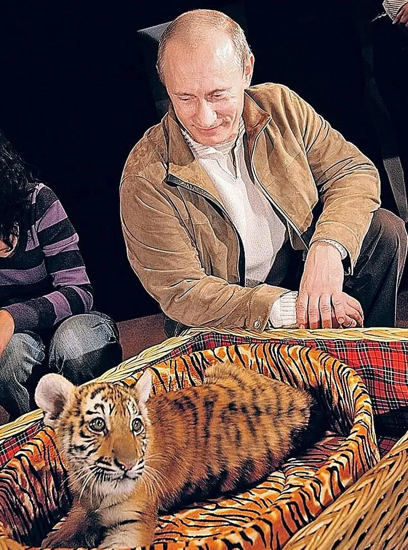 پوتین