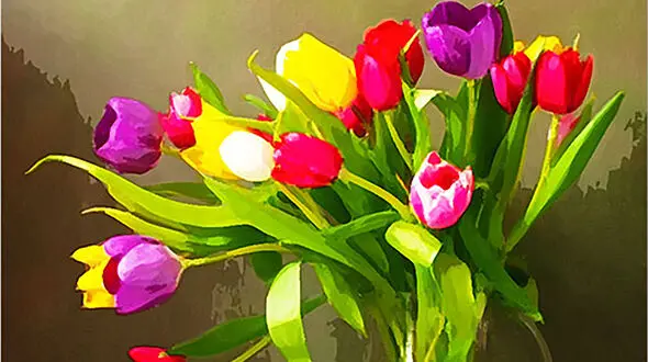نحوه تبدیل عکس به نقاشی