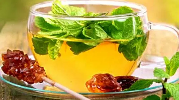 بهترین نوشیدنی‌ ها برای رفع نفخ شکم؛ 5 انتخاب موثر از دیدگاه متخصصین تغذیه