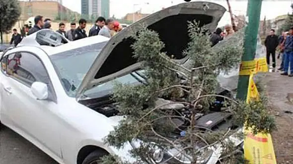 خودرو لاکچری در تصادف با درخت آتش گرفت / در فرمانیه تهران رخ داد